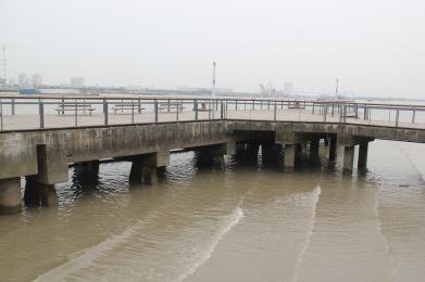 浅水码头桩基现场